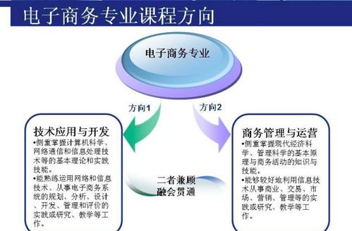 电子商务可考研的专业
